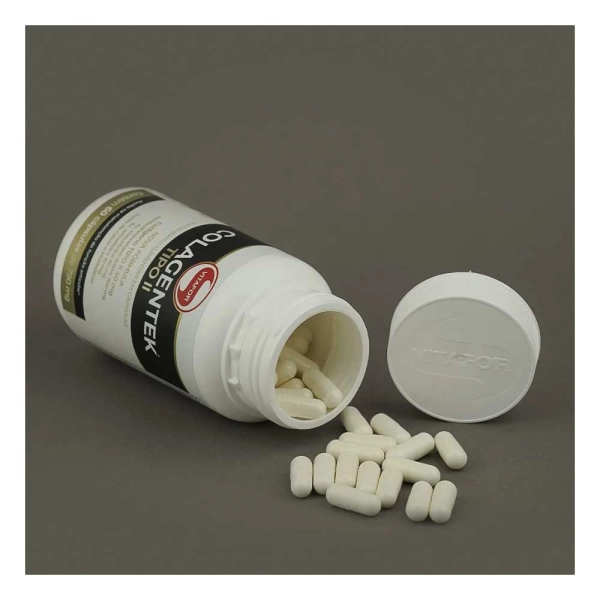 Colagentek II 60 Capsulas - Vitafor Produto Colagentek II 60 Capsulas - Vitafor